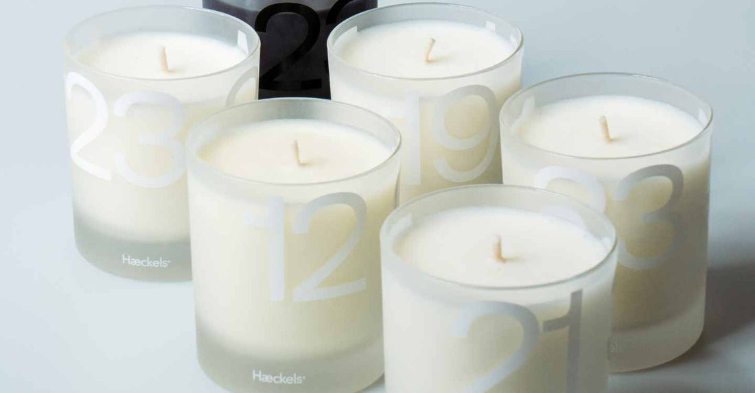 Haeckels - Born In The Beaches Of Margate