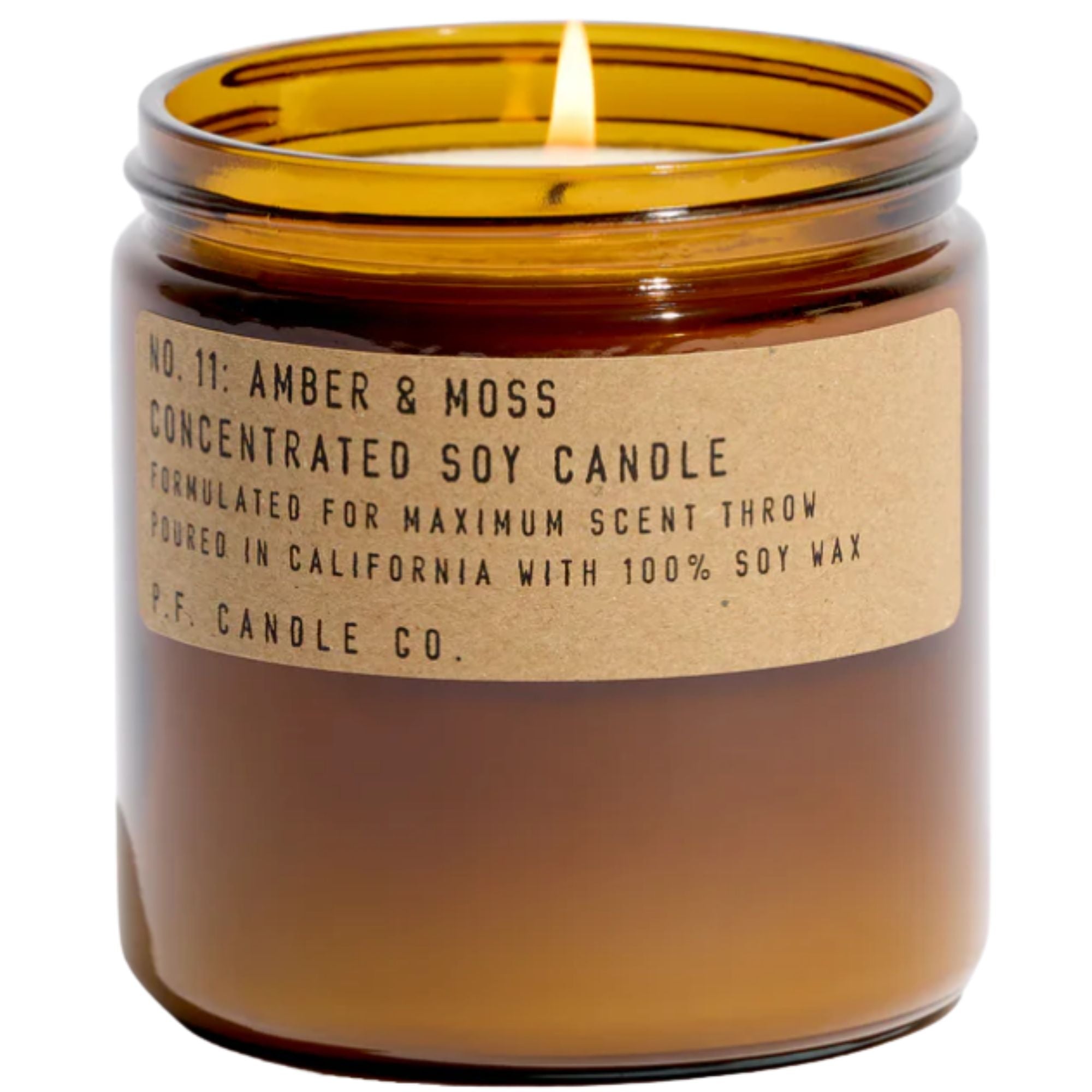 Amber & Moss - Large Concentrated Candle