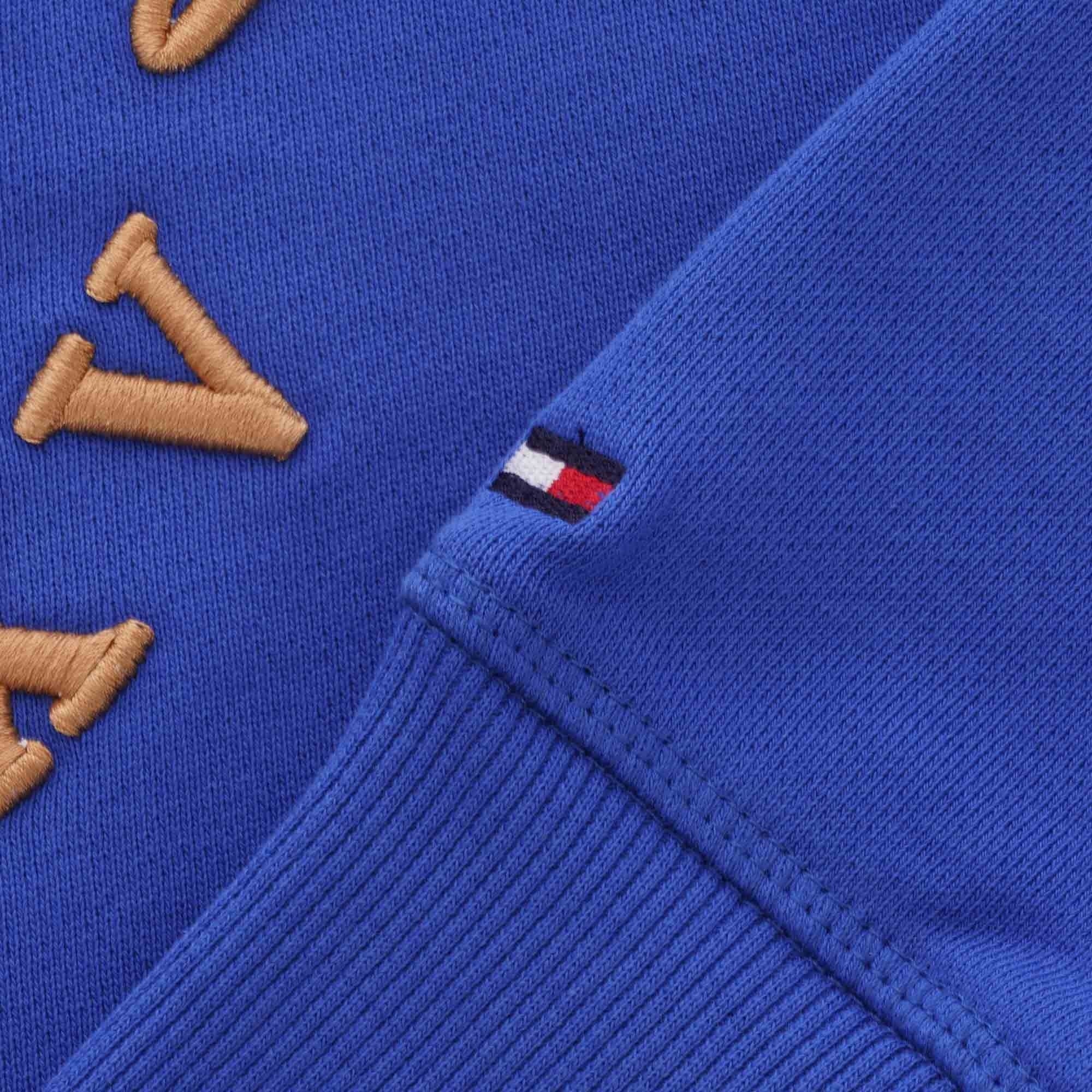 Tommy Hilfiger Icon Artwork Sweatshirt - Icon Blue