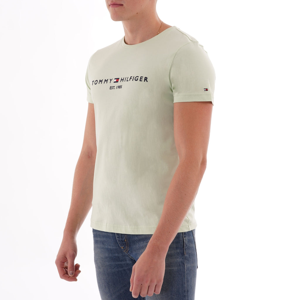 Tommy Hilfiger Logo T-Shirt - Spray