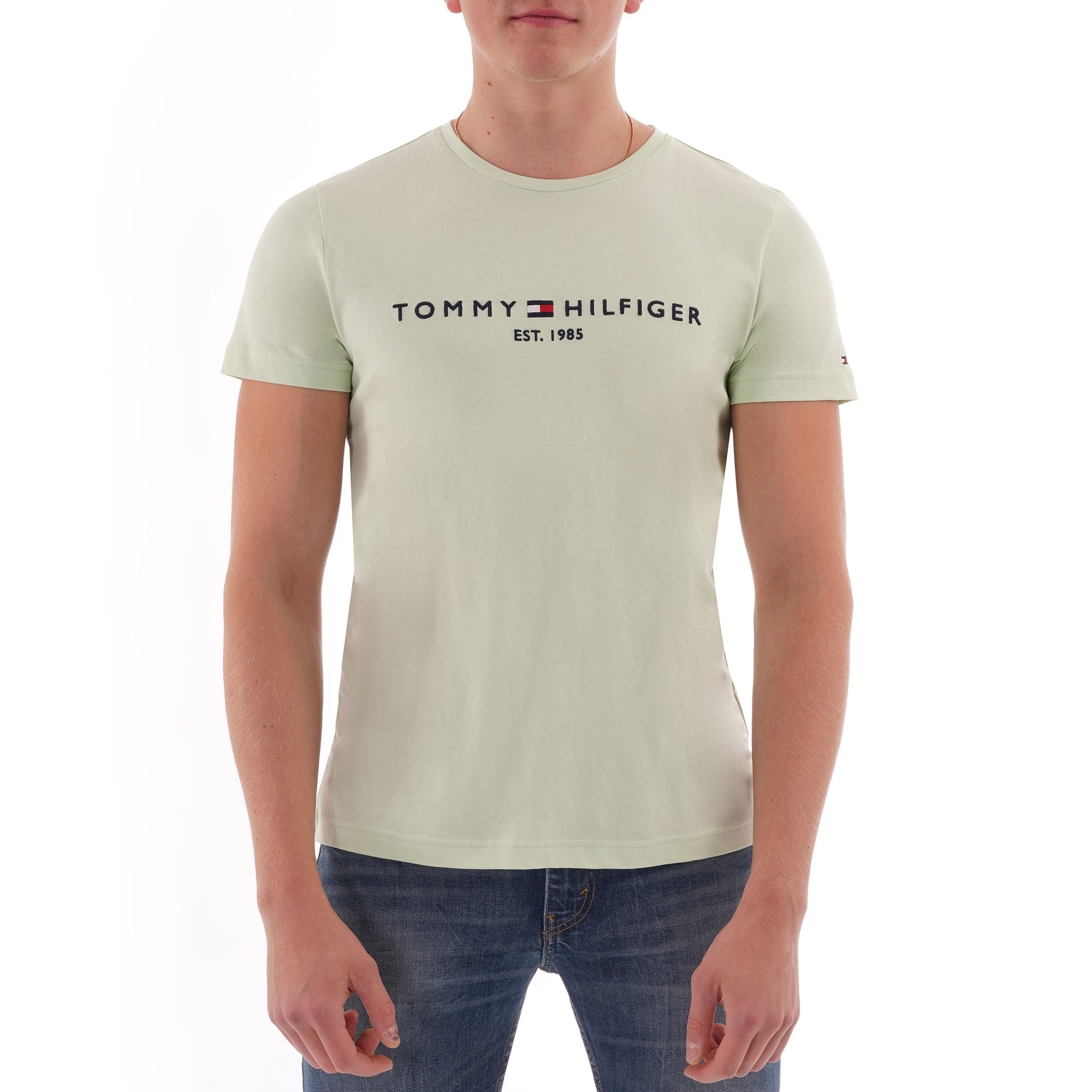 Tommy Hilfiger Logo T-Shirt - Spray