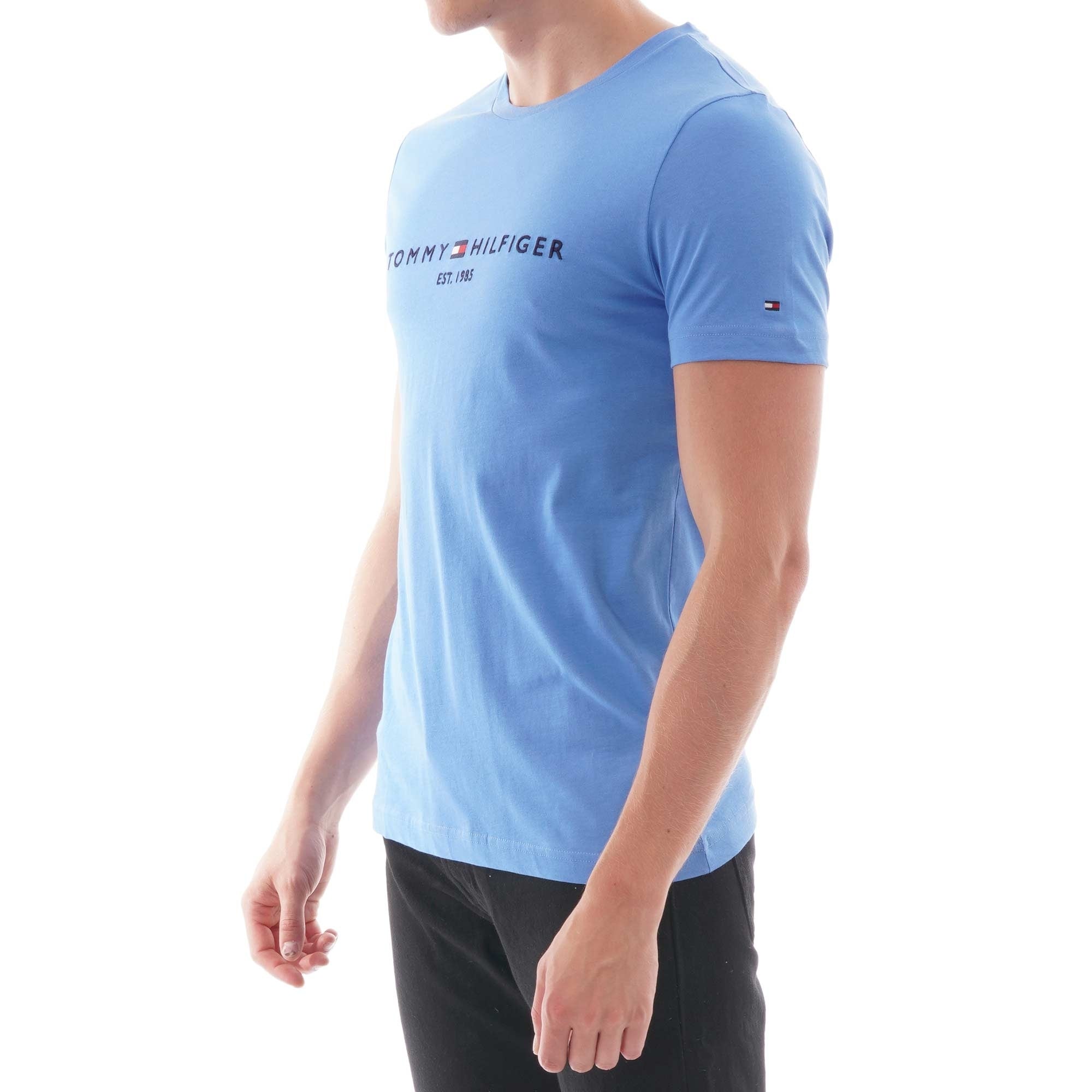 Tommy Hilfiger Logo T-Shirt - Regatta