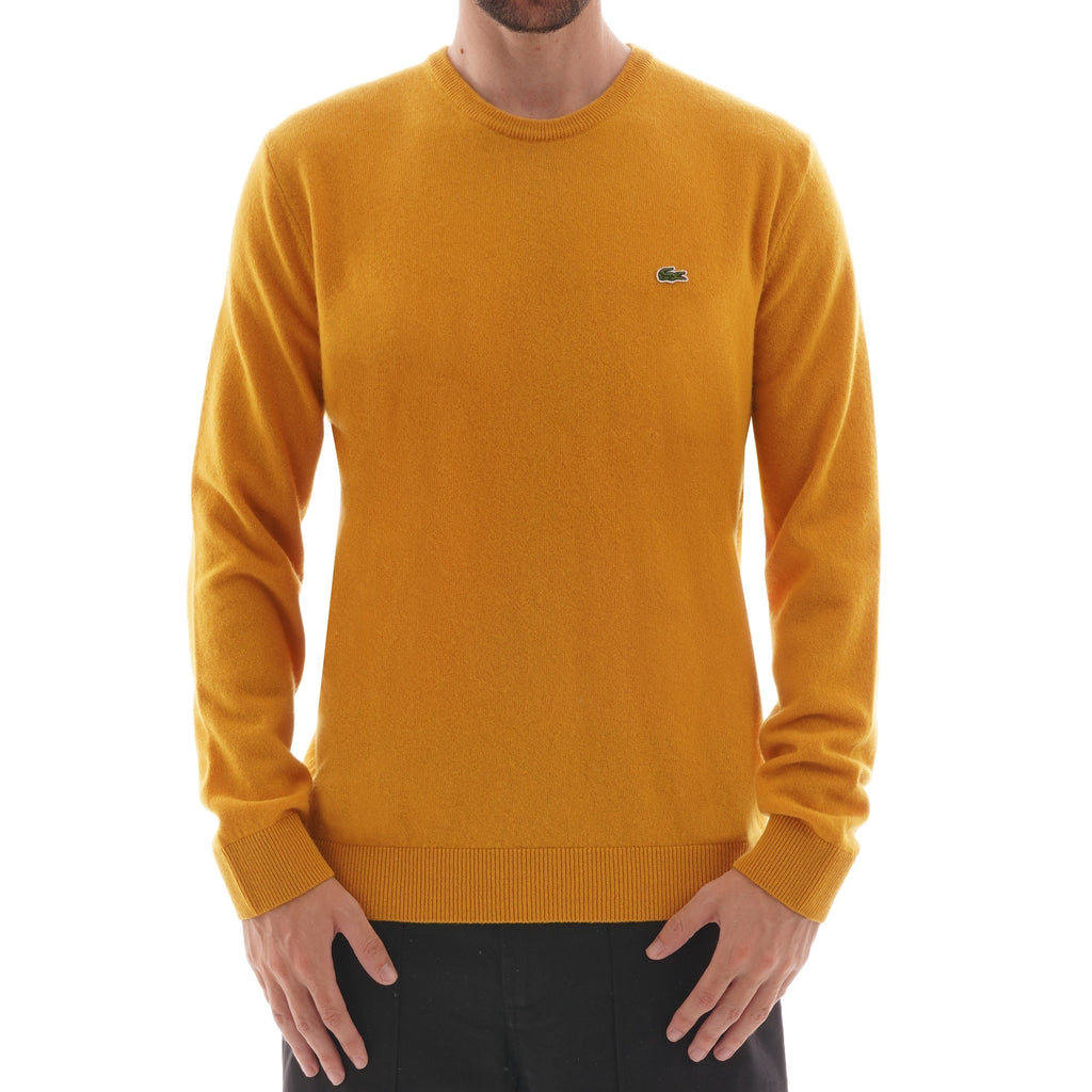 Crew Neck Wool Jersey - Yellow