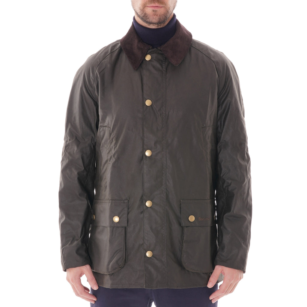 Ashby Jacket - Olive