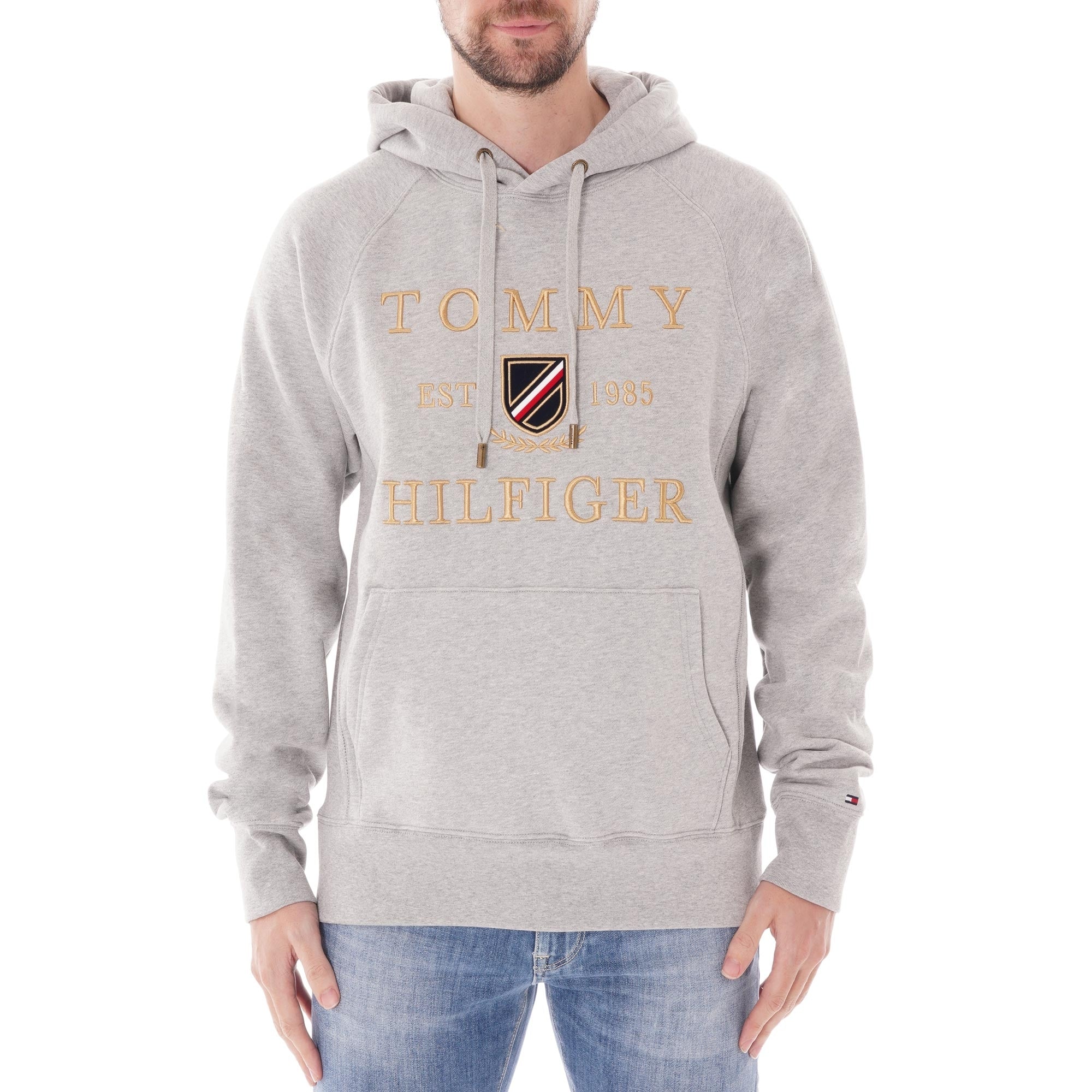 Tommy Hilfiger Icon Logo Hoody - Cloud