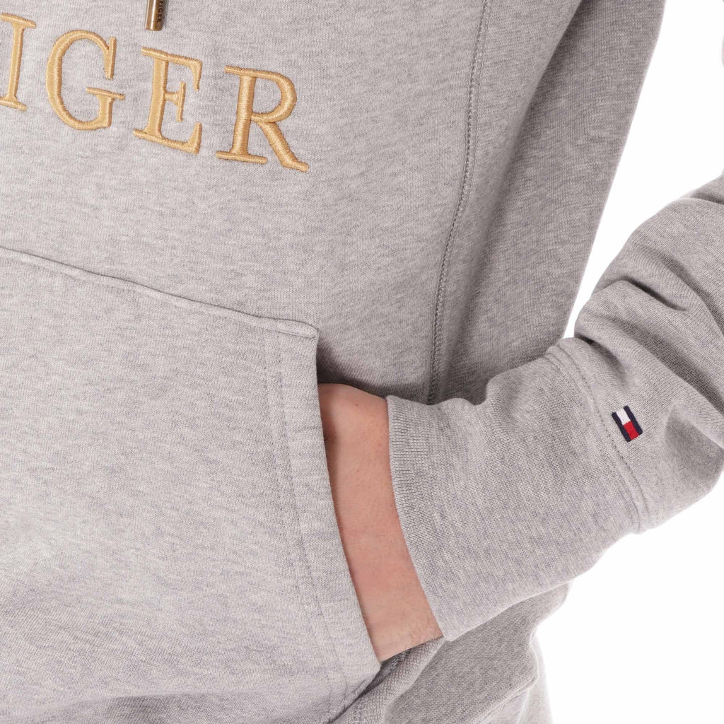 Tommy Hilfiger Icon Logo Hoody - Cloud