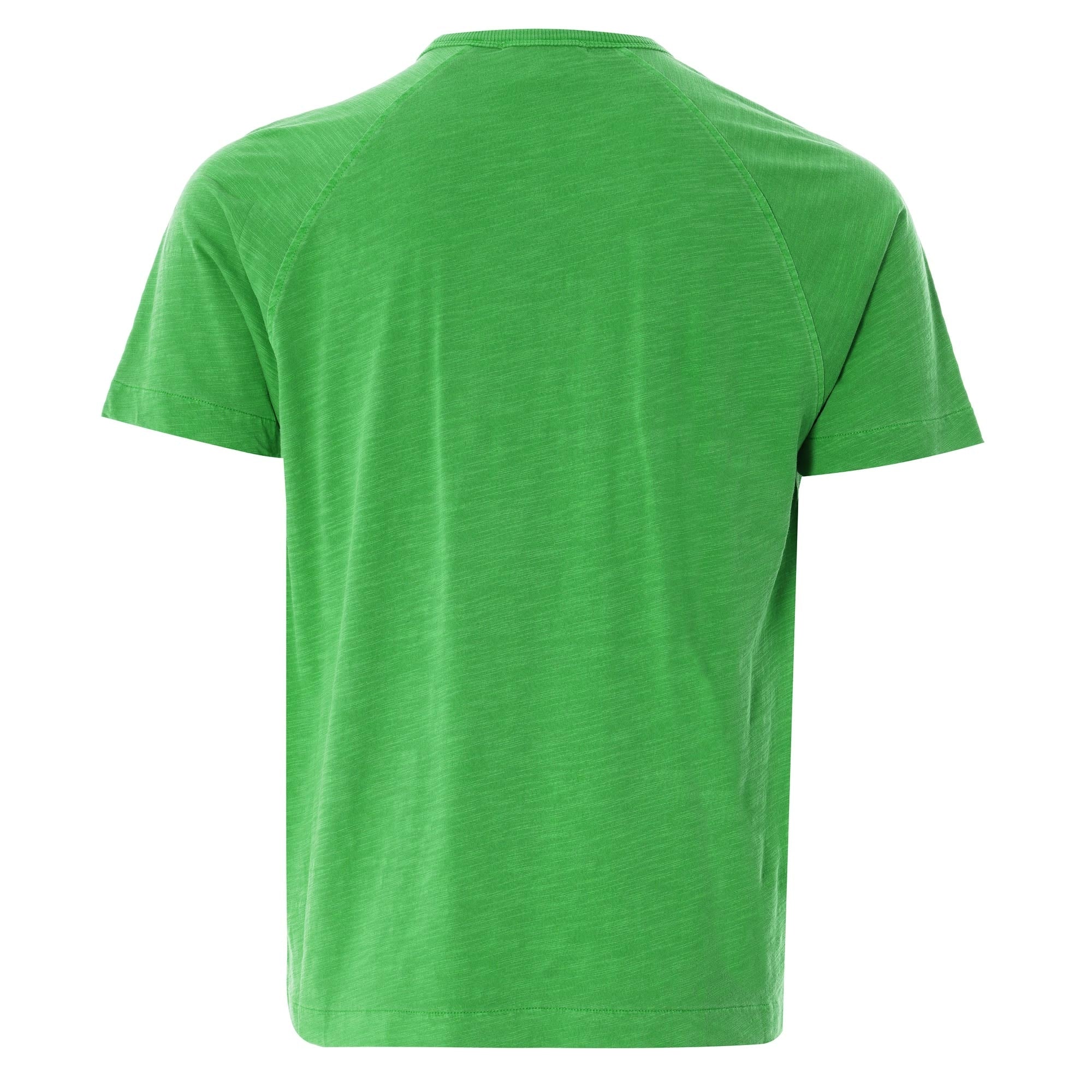 TV Raglan Tee - Green