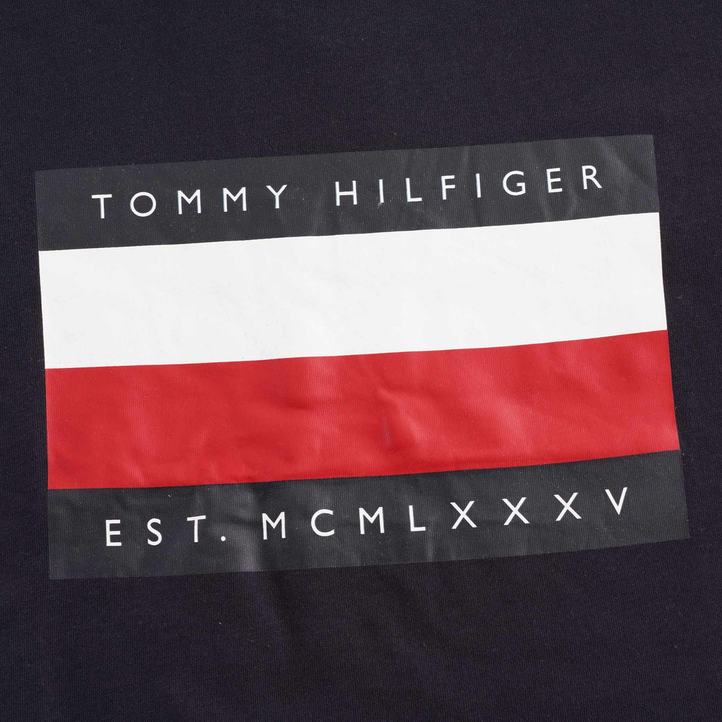 Tommy Hilfiger Logo T Shirt - Desert Sky