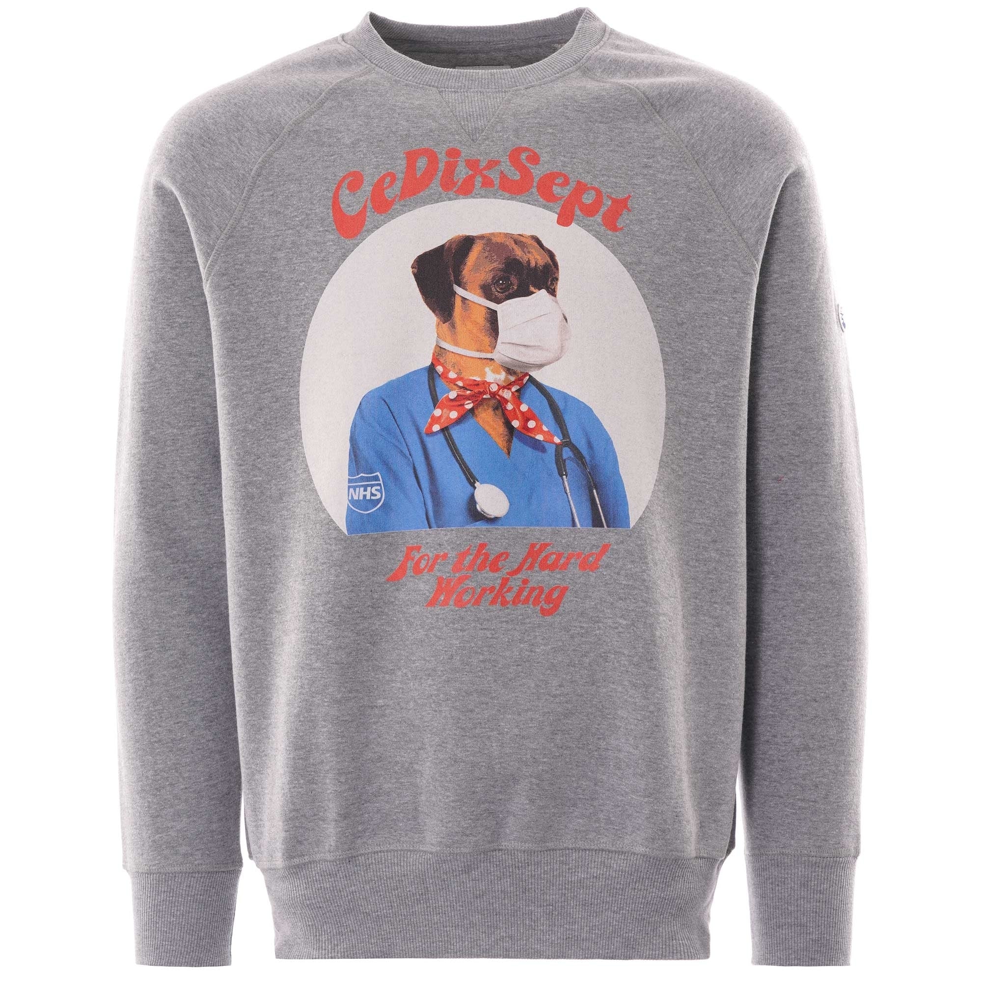 Grey sweatshirt with a dog wearing a mask and scrubs printed on the front.