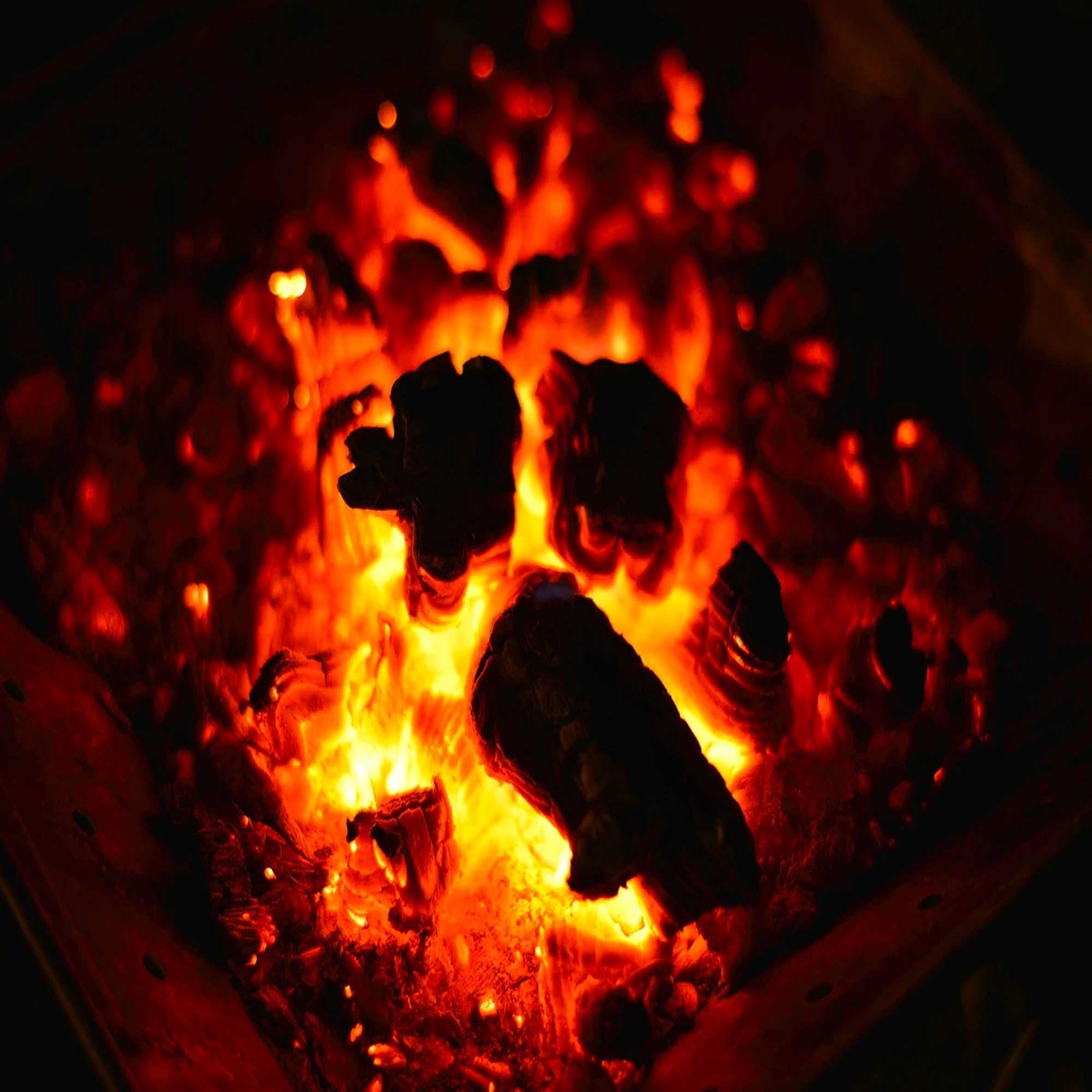 Snow Peak Takibi Fire & Grill
