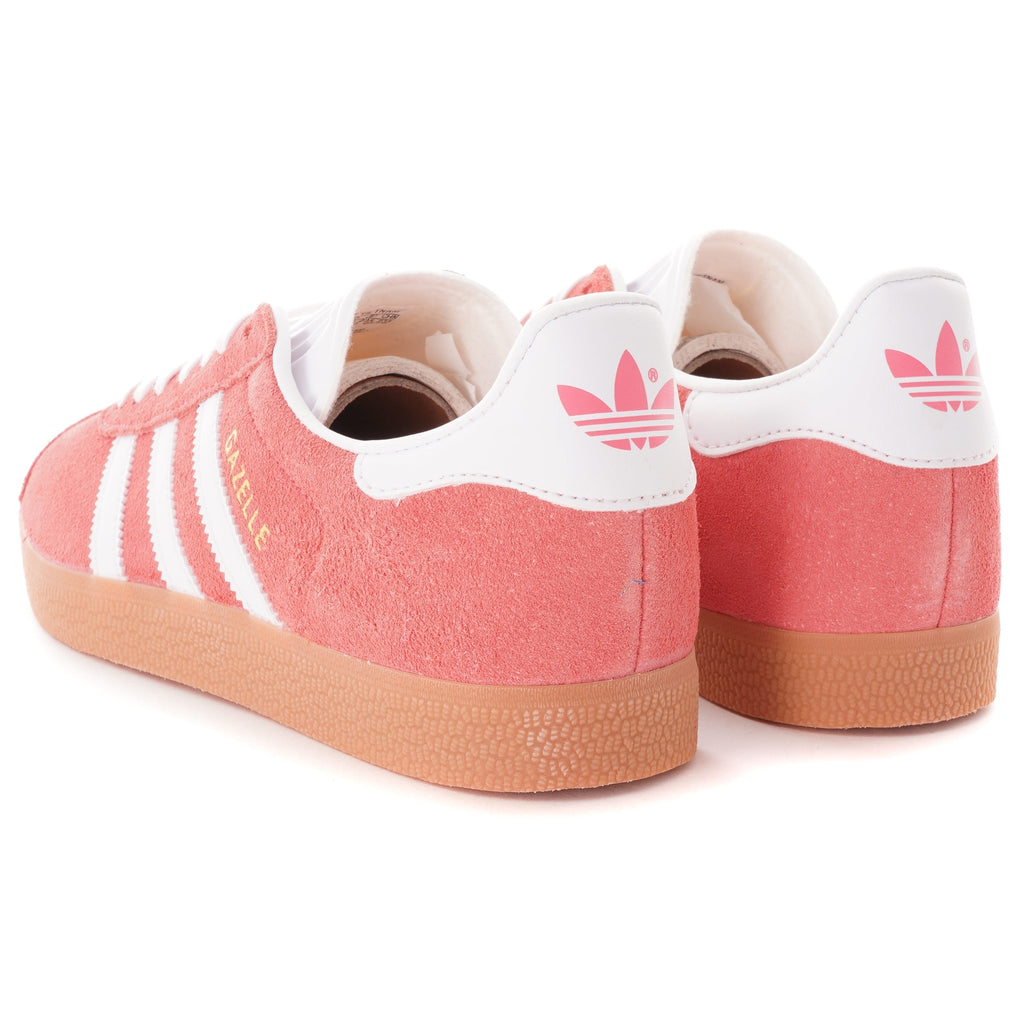 Gazelle - Pink