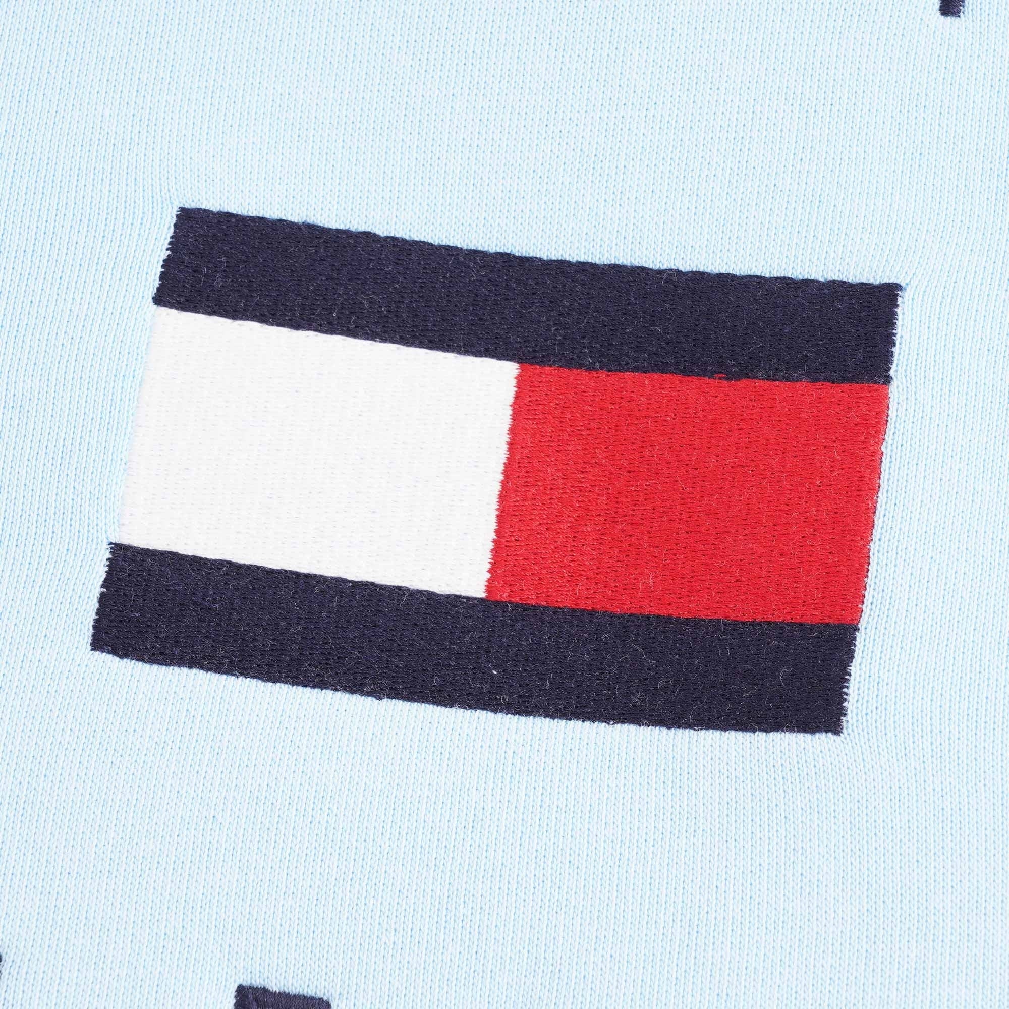 Close-up of the Tommy Hilfiger flag logo on the light blue hoodie.