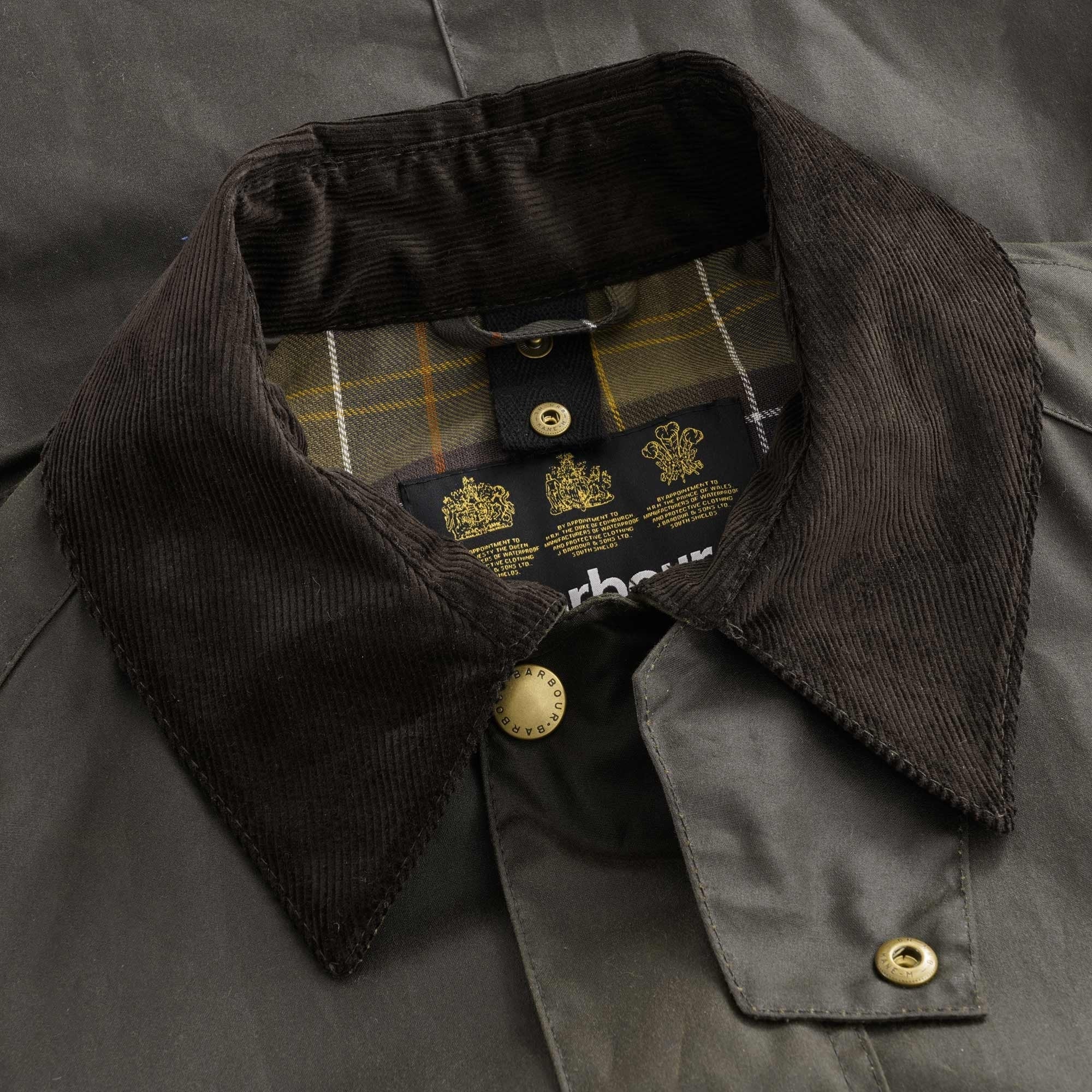 Ashby Wax Cotton Jacket - Olive