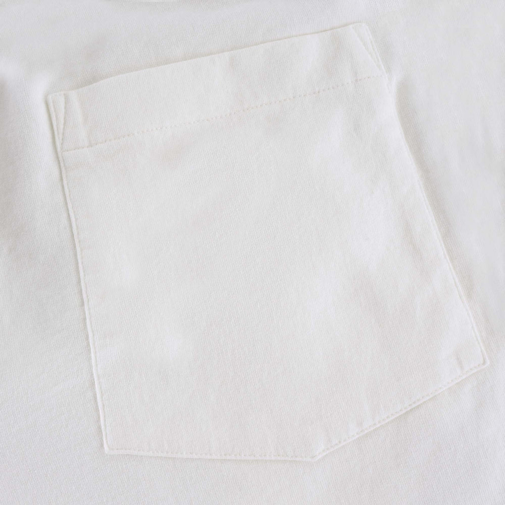 French Terry Pleated Shorts - Cream