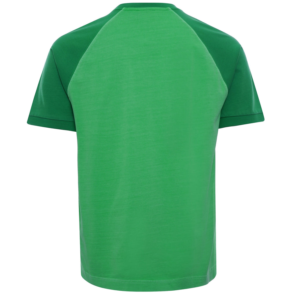 Crew Neck Contrast Sleeved Cotton T-shirt - Vert