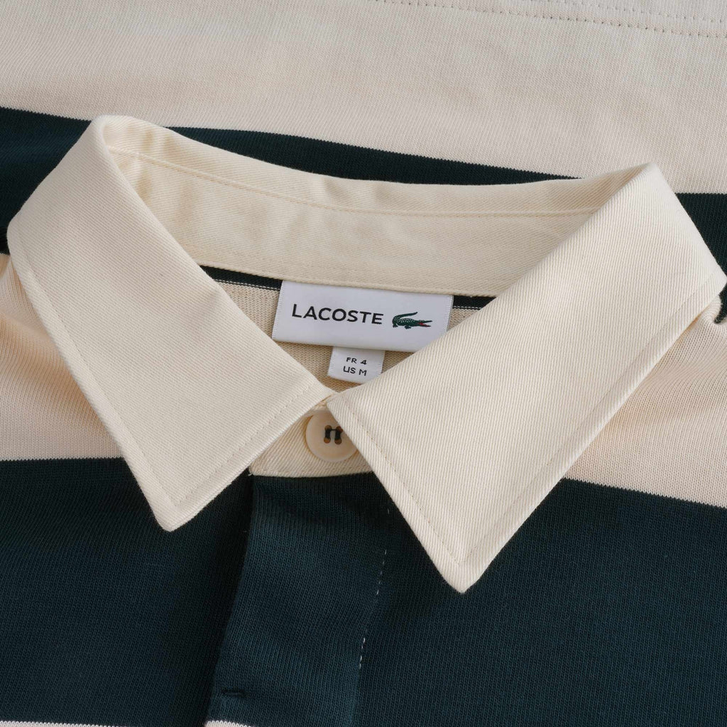 Striped Cotton Rugby Shirt - Beige/Vert