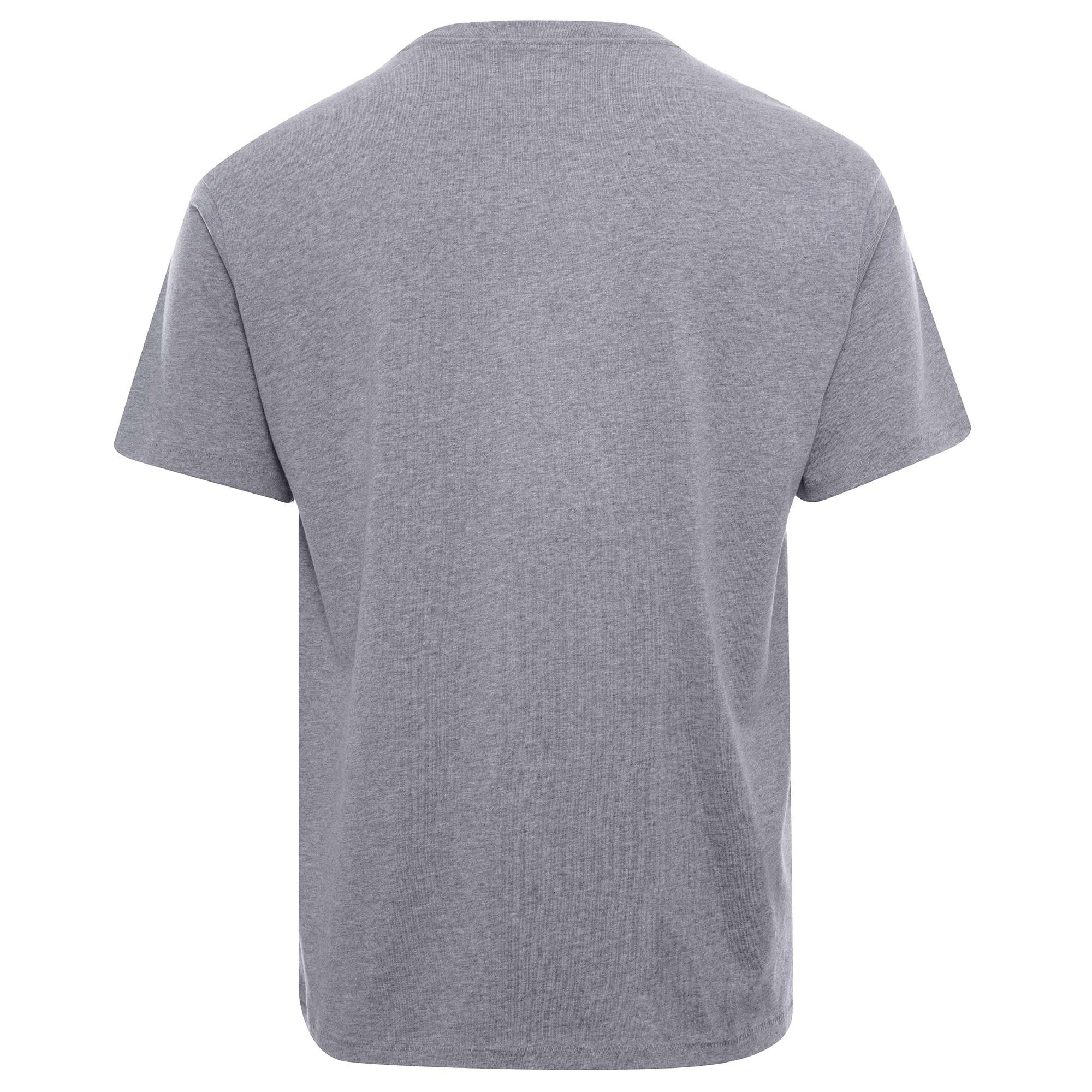 Vintage Graphic Tee - Grey