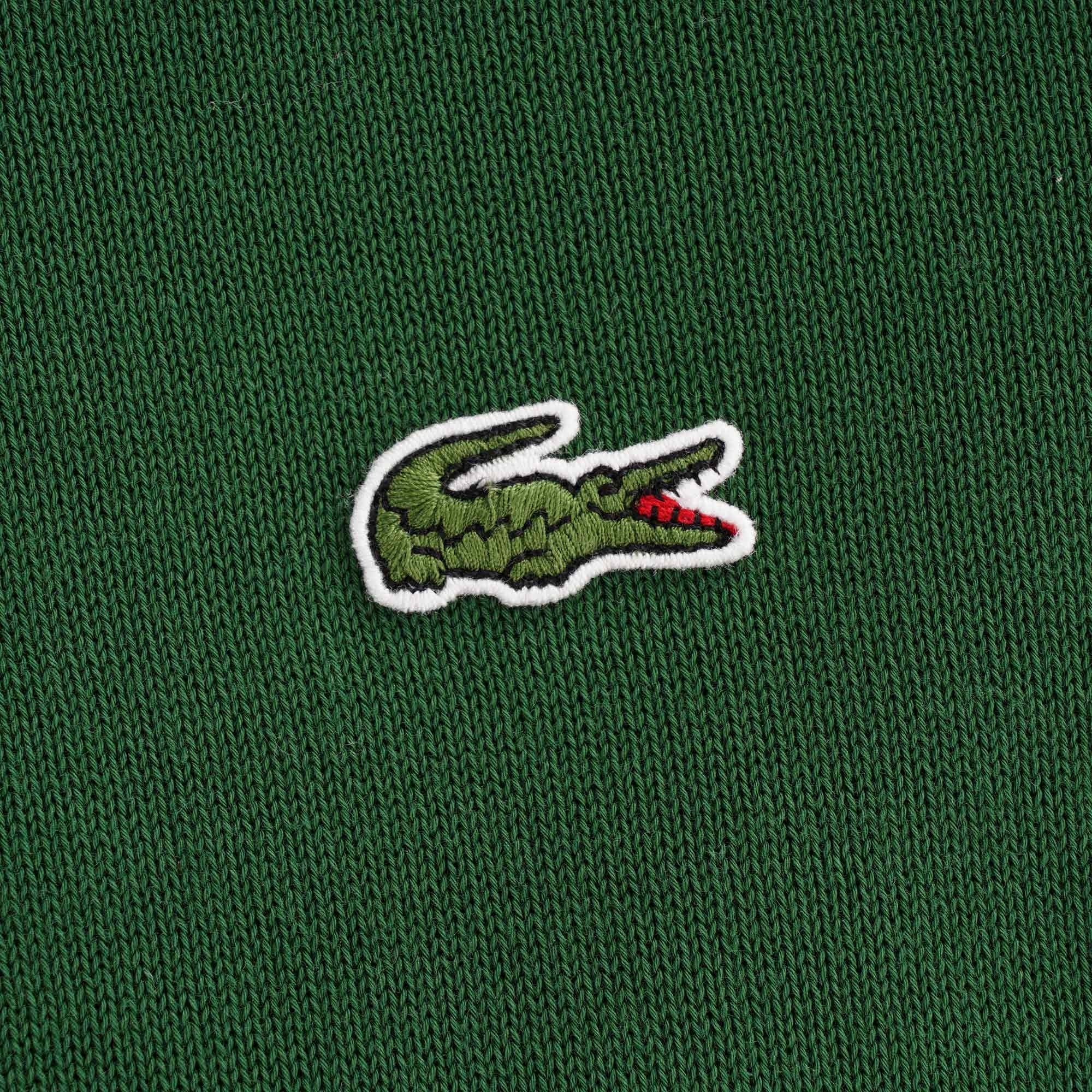 Organic Cotton Crew Neck Jumper - Vert