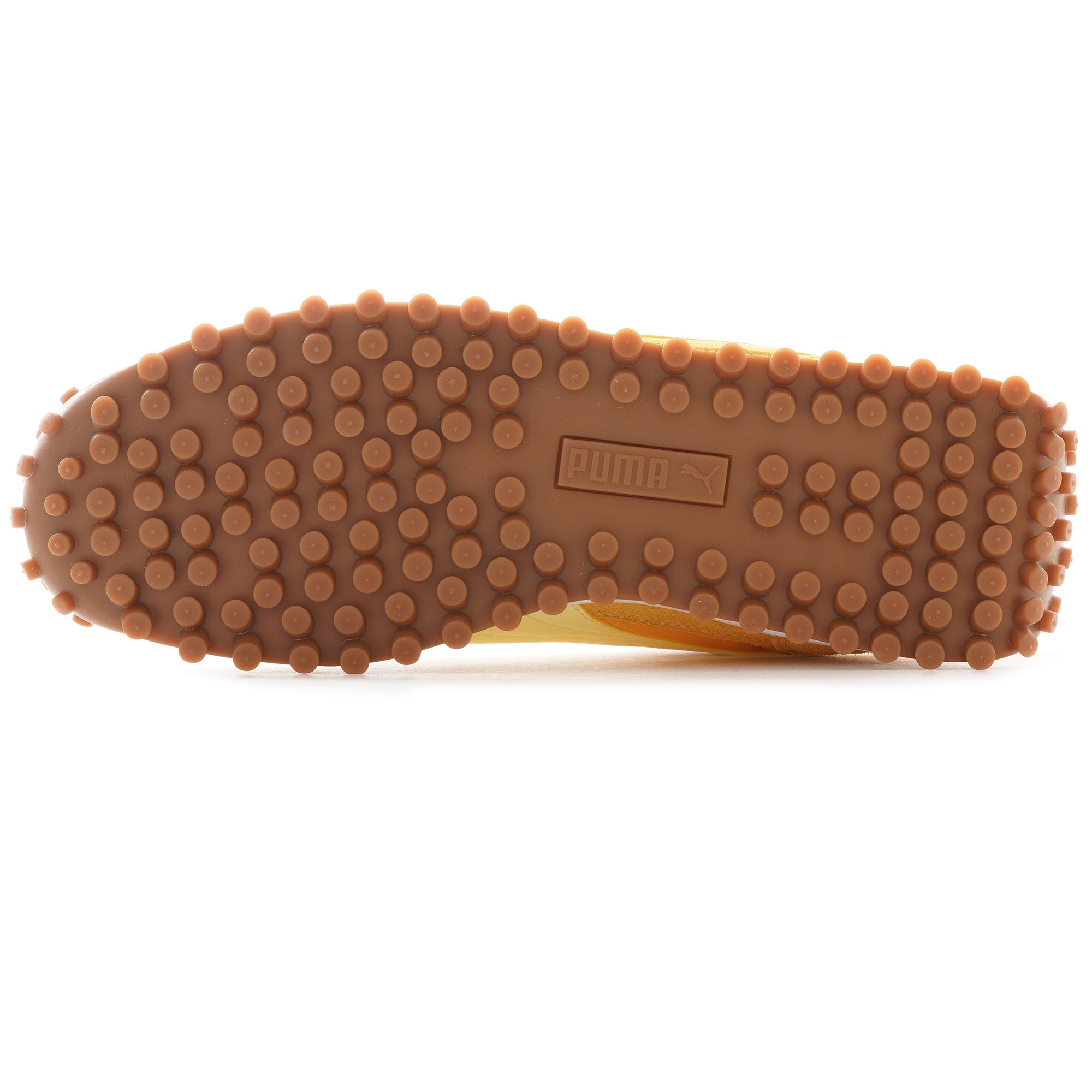 Easy Rider II - Saffron