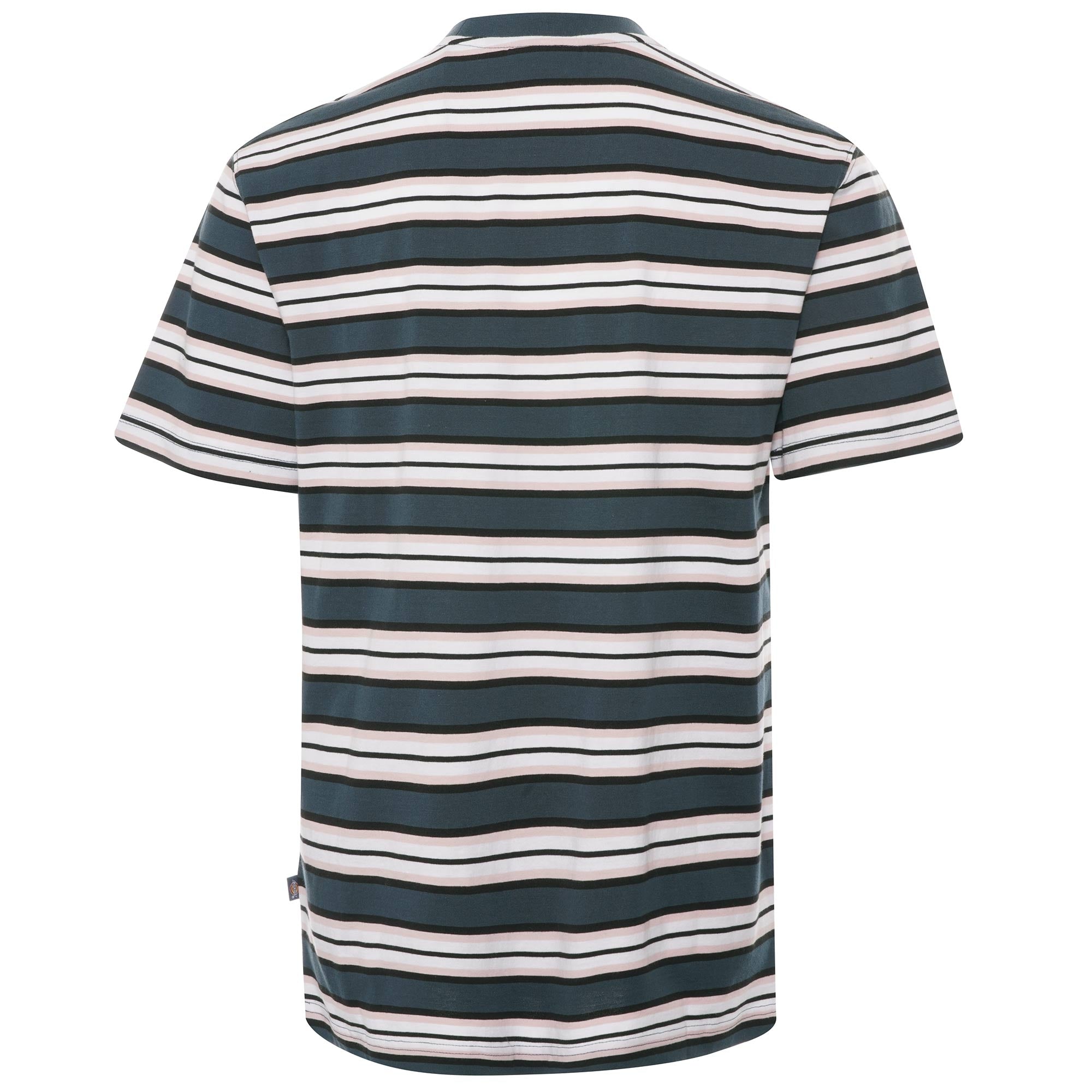 Dickies Lynnwood T-Shirt - Teal