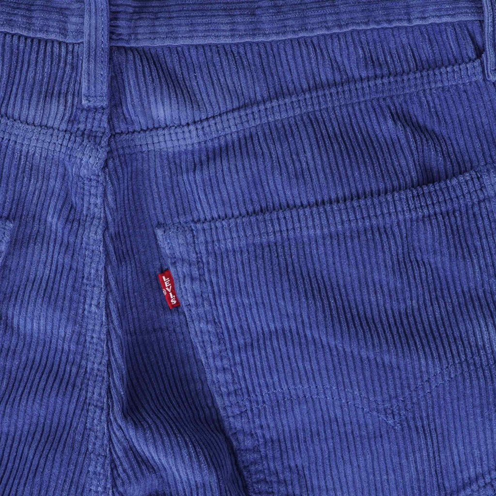 Levi's® Stay Loose Carpenter Corduroy Pants - Mazarine
