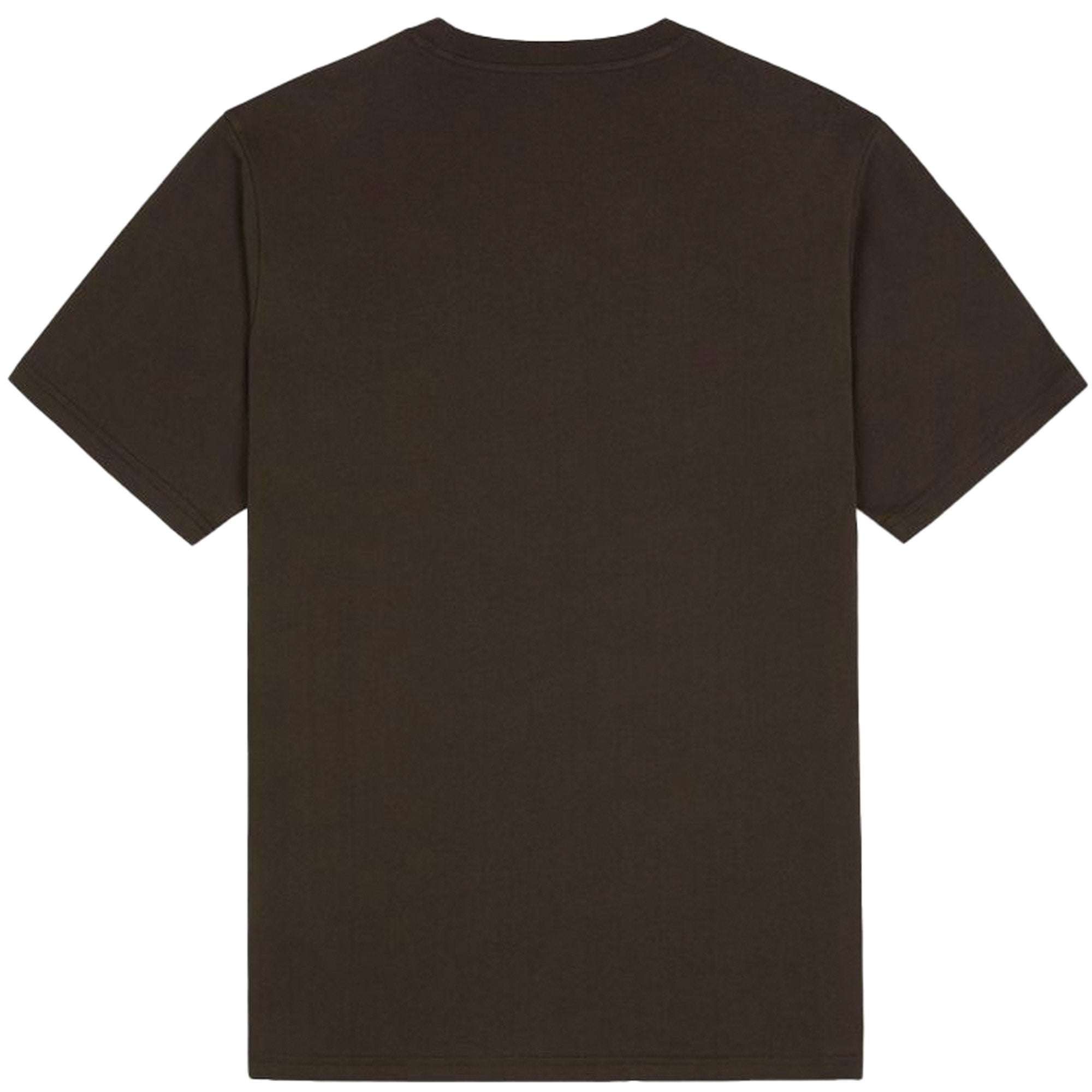 Dickies Mapleton Short Sleeve T-Shirt - Brown