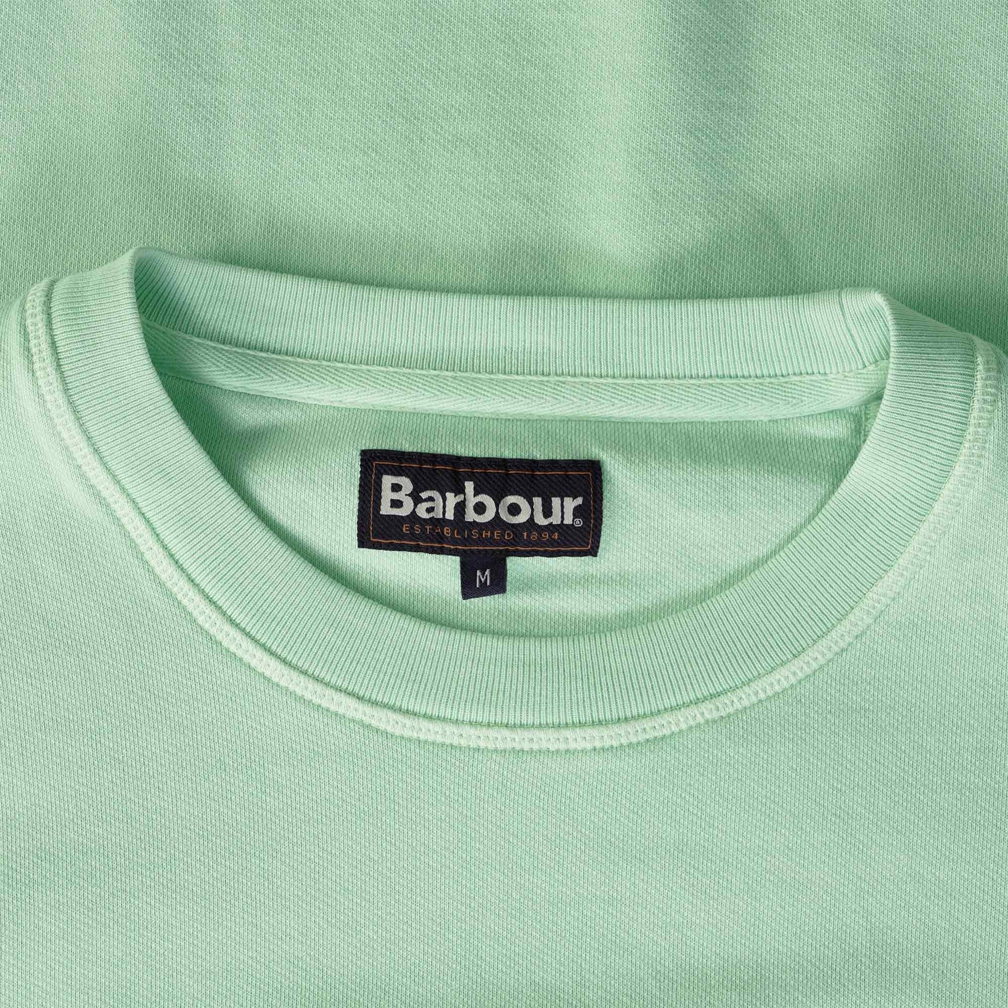 Washed Prep Logo Sweatshirt - Dusty Mint