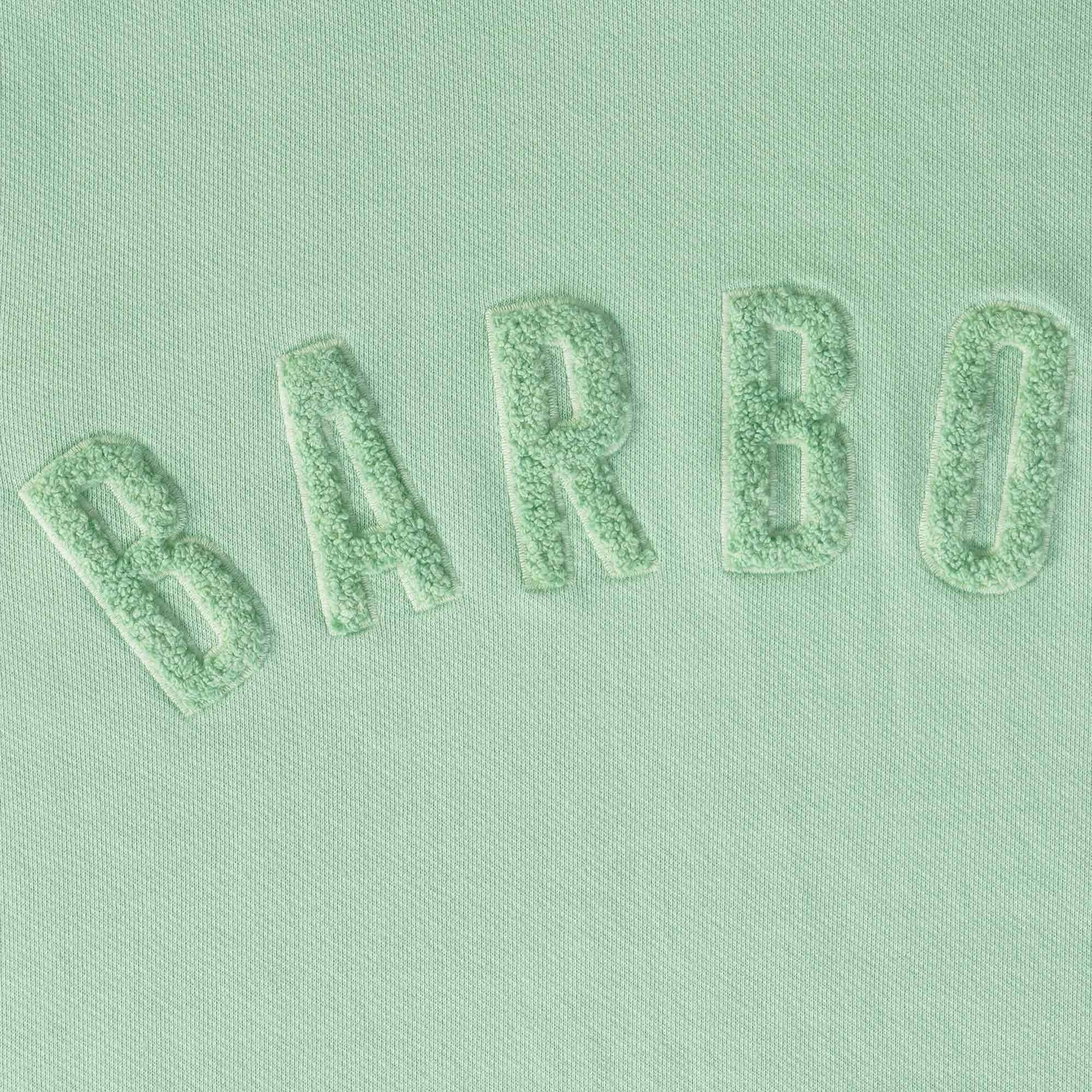 Washed Prep Logo Sweatshirt - Dusty Mint