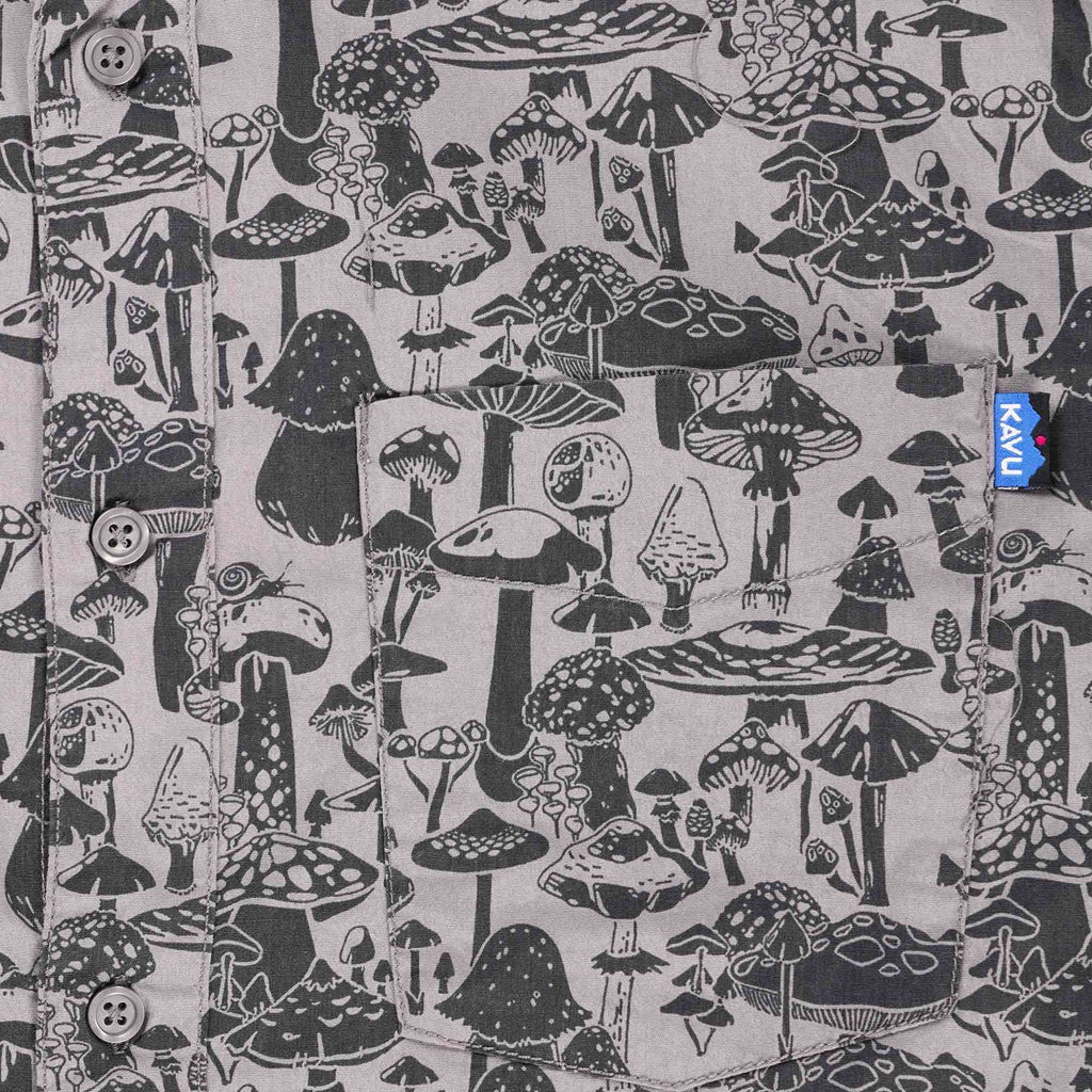 Kavu Festaruski - Forage