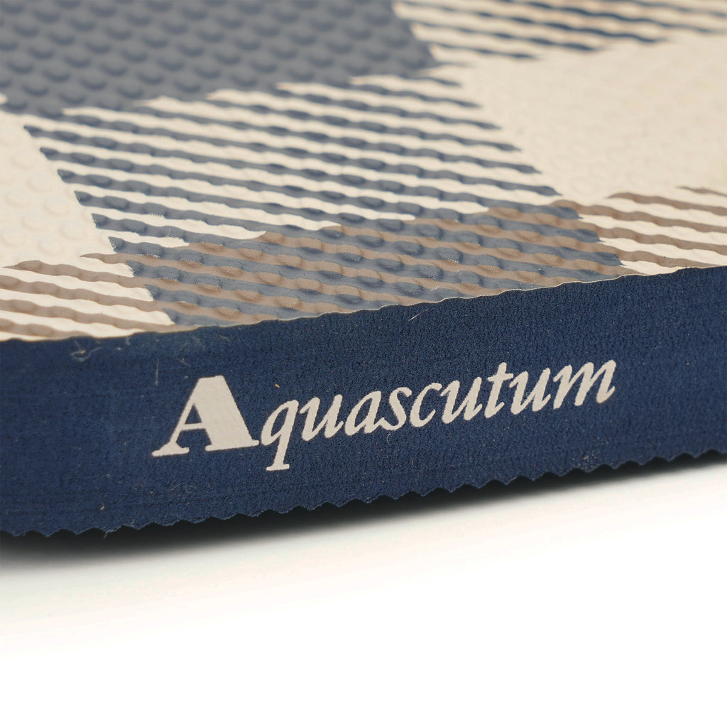 Aquascutum Macro Iconic Flip Flops - Navy