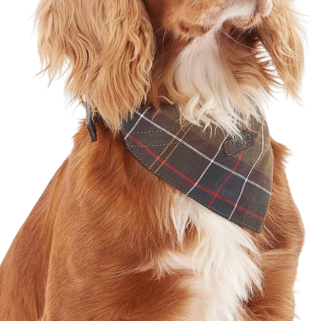Barbour Tartan Bandana - Classic Tartan