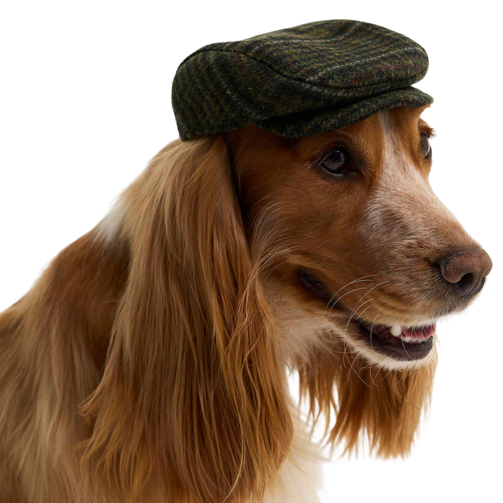 Barbour Wilkin Dog Flat Cap - Olive