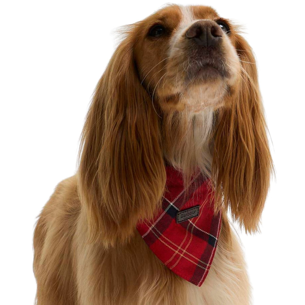 Barbour Tartan Bandana - Cardinal Tartan