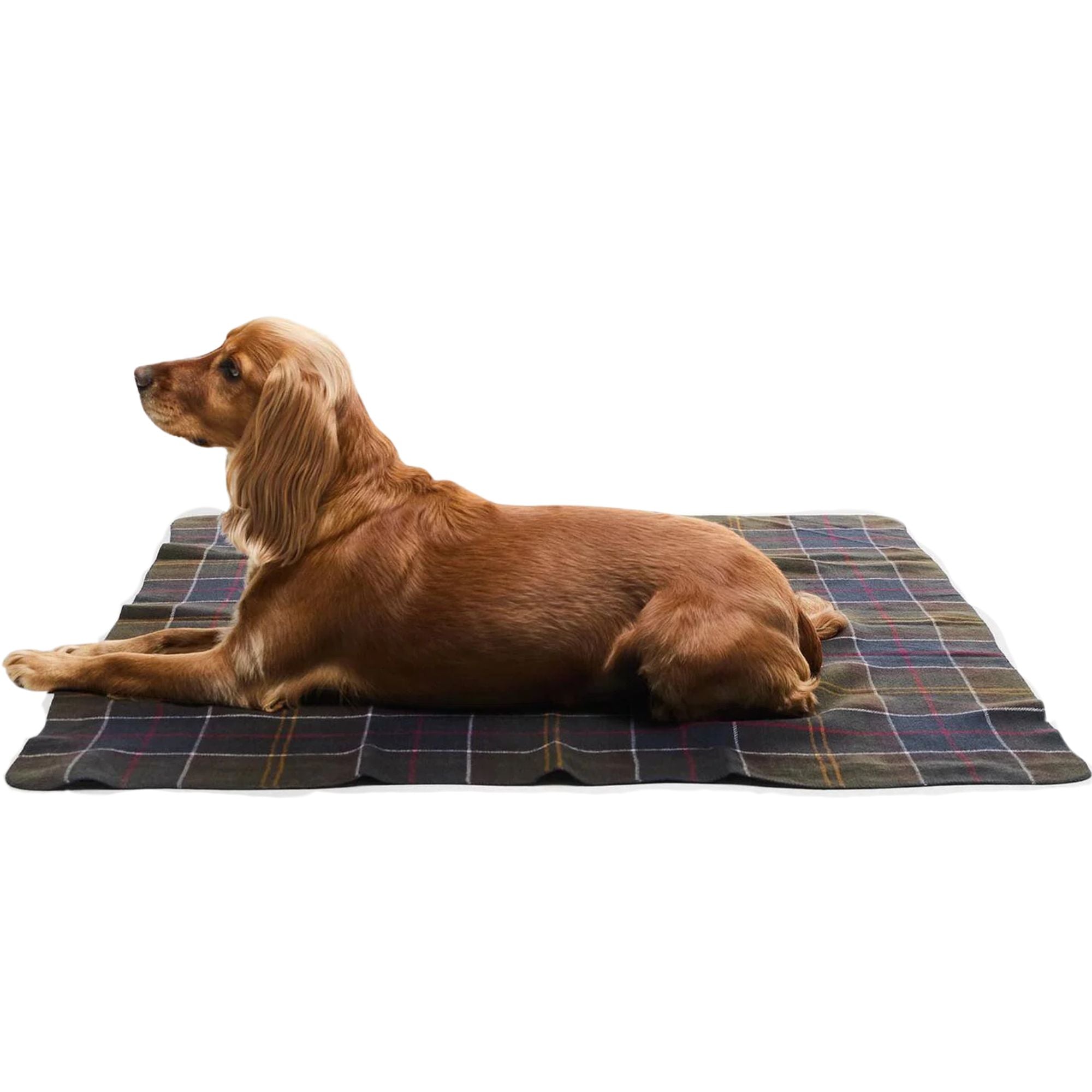 Barbour Tartan Dog Blanket - Tartan